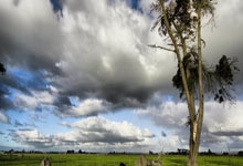 DB37/T 4635-2023 沥青路面再生型拖刷封层技术规范 pdf文件